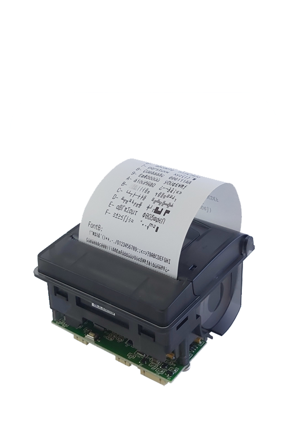 INTERNAL PRINTER